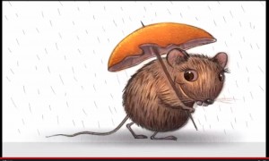 Rat with an Orange Peal Umbrella