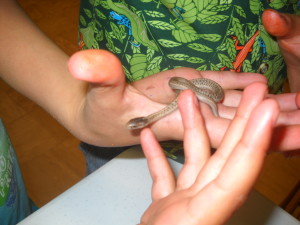 small garter snake 