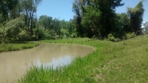 Idaho eclipse camp